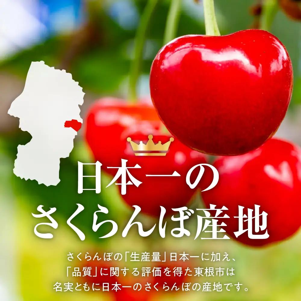 2027年産 GI 東根 さくらんぼ 紅秀峰 800g JA さくらんぼ