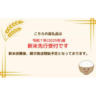 ふるさと納税 鰺ヶ沢町 令和7年産 あさゆき 無洗米 5kg H.GREENWORK [53841810] |  | 03