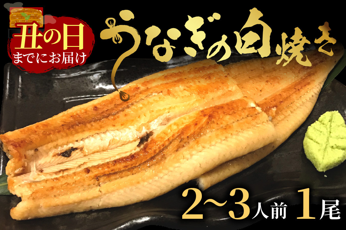 
【土用の丑の日までに届く！（8月2～4日配送）】うなぎの白焼き2～3人前(1尾)　AN00085
