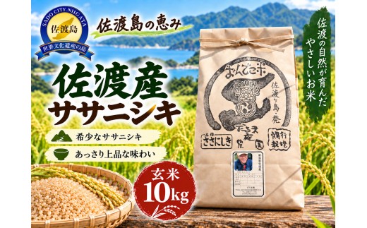 【令和8年産】佐渡産 佐渡産ササニシキ 玄米10kg だるま庵農園 | 新潟県産ササニシキ 新潟産ささにしき 佐渡産ササニシキ ささにしき ササニシキ お米 米 玄米 げんまい おこめ コメ 10キロ 農家直送 にいがた さど 新潟県 佐渡市 コ新潟県産ササニシキ 新潟産ささにしき 佐渡産ササニシキ ささにしき ササニシキ 新潟県産ササニシキ 新潟産ささにしき 佐渡産ササニシキ