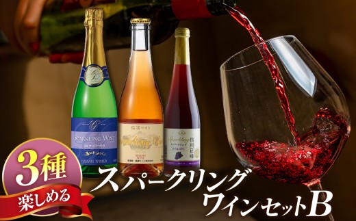 
                  塩尻産スパークリングワイン 3本セットB｜ワイン わいん スパークリング セット 飲み比べ 長野県 塩尻市
                