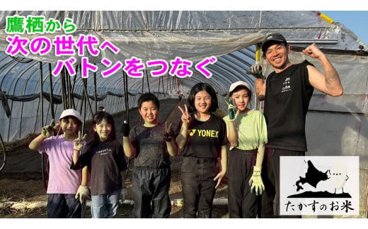 【6回定期便】ゆめぴりか （無洗米） 10kg×6回 【2025年10月下旬より発送開始】 合計60kg 北海道 鷹栖町 たかすのお米 特別栽培米 米 コメ ご飯 無洗米 お米 ゆめぴりか
