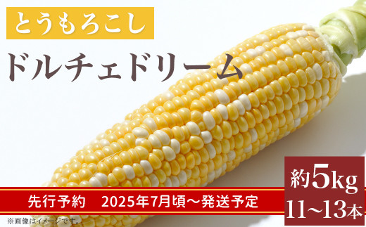 
            324 とうもろこし ドルチェドリーム  約5kg 11～13本 朝採れ バイカラー 黄 白 茨城 先行予約 2025年7月頃～発送予定
          