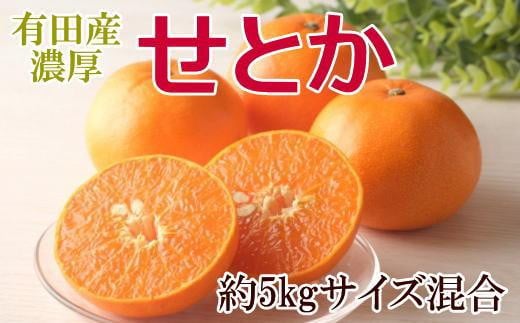 
一度は食べていただきたい「有田産のせとか」約5kg（サイズ混合）★2025年2月中旬頃より順次発送
