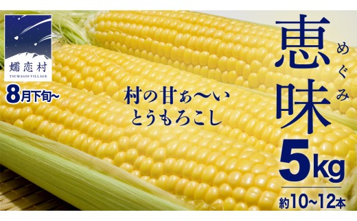 【8月下旬発送開始】 甘～いトウモロコシ 恵味 5kg 約10～12本 とうもろこし 産地直送 羽生田売店 期間限定 先行予約 人気 朝採り お取り寄せ 関東 群馬 先行受付  [AL005tu02] 