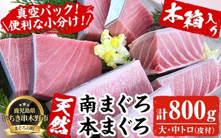 贈答用に！天然高級マグロ刺身 南マグロ刺身 本マグロ刺身 マグロ刺身 大トロ中トロ合計800g超(木箱入り)【E-125H】