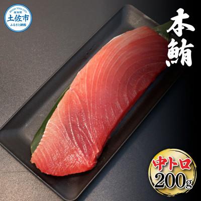ふるさと納税 土佐市 本鮪　中トロ200g