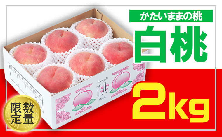
            ☆フルーツ王国山形☆白桃 秀品 2kg(かたいままの桃) FS24-684
          