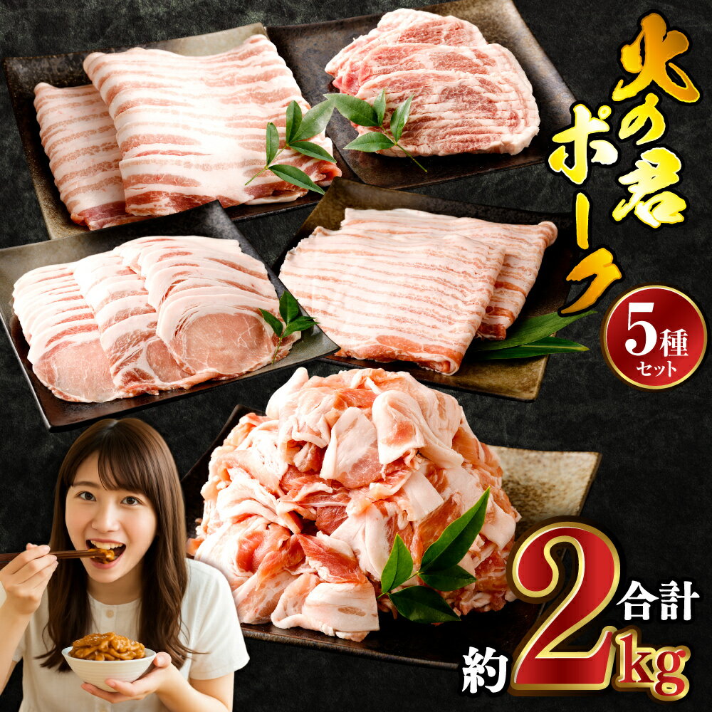 【ふるさと納税】熊本県産 火の君ポーク® 詰め合わせ 合計約2kg 12000円 1万2000円 5種類 豚こまぎれ 細切れ こまぎれ 豚こま ロース 生姜焼き用 肩ロース バラ 豚バラ 焼肉用 しゃぶしゃぶ用 セット 詰合せ 豚 豚肉 肉 お肉 国産 九州産 熊本市産 冷凍 送料無料