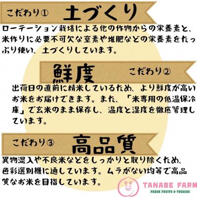 ふるさと納税 勝央町 【令和7年産】【特Aランク】　無洗米　岡山県産　きぬむすめ　10kg(5kg×2袋) |  | 03