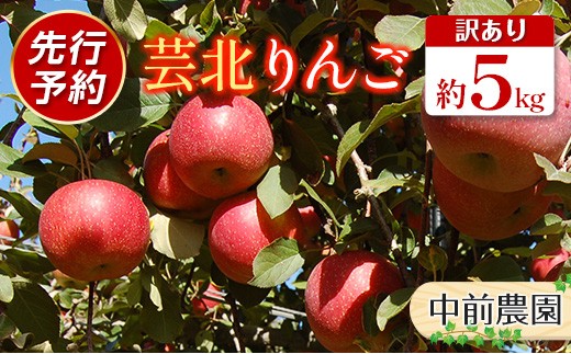 
                  ≪10月中旬以降発送≫りんご 訳あり ご家庭用 約5kg 中前農園の芸北りんご 農家直送 シナノスイート ぐんま名月 ジョナゴールド ふじ_NA099_002
                
