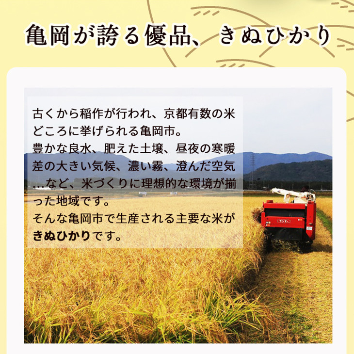 【数量限定・令和元年産】亀岡そだちきぬひかり5kg【無洗米】※京都丹波産キヌヒカリ3年連続特A獲得≪お米無洗米精米したて≫