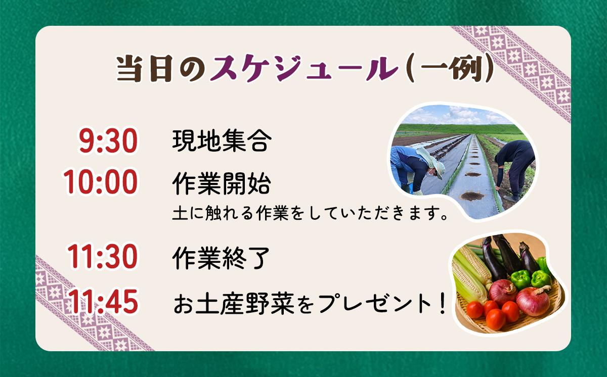 農業体験チケット（2時間／2名）+お土産野菜付き 1枚【 農業体験 体験 野菜 農作業 家族 親子 畑 お土産 】