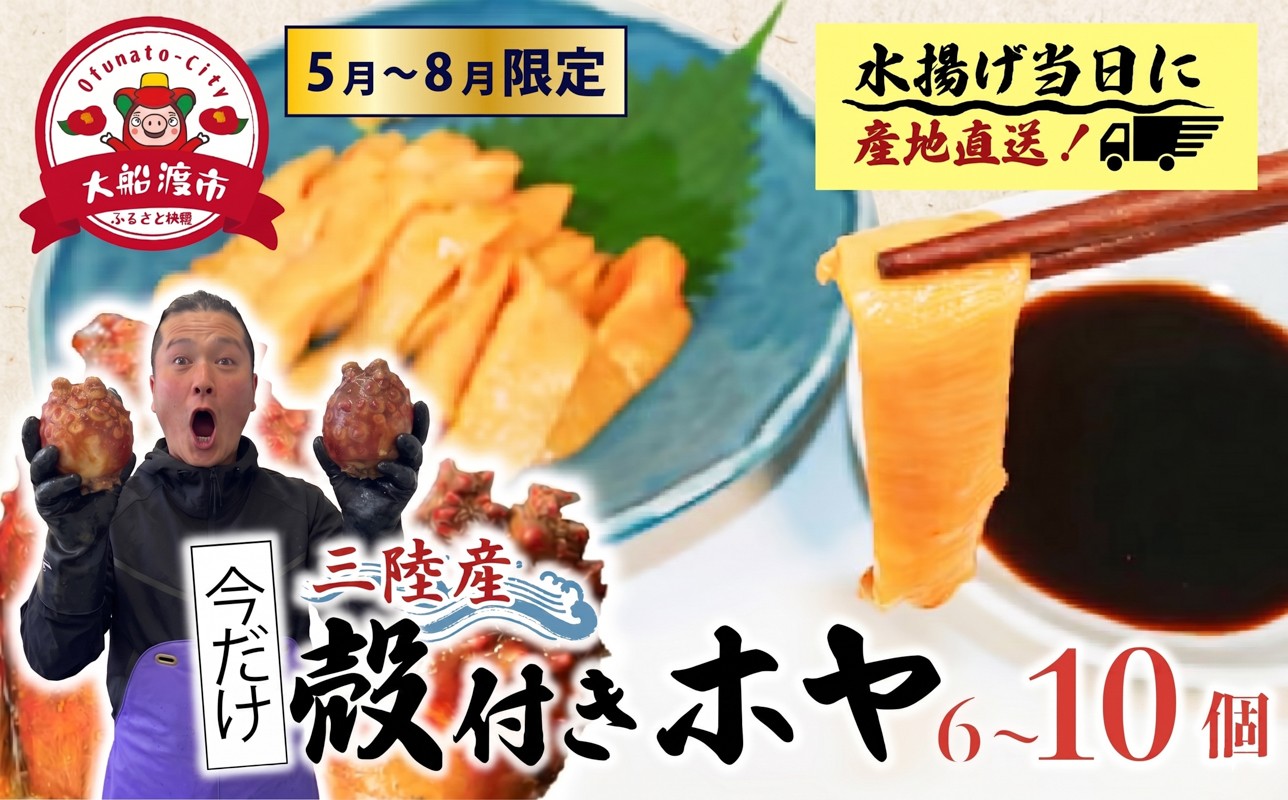 
                  でっかい！！ 選べる 殻付きホヤ6個 / 10個 ＼今が旬／ ほや ホヤ Hoya 串焼き フライ ごはん 夕飯 おかず おつまみ 晩酌 海産物 海鮮 魚介 魚介類 大船渡 三陸 岩手県 国産
                