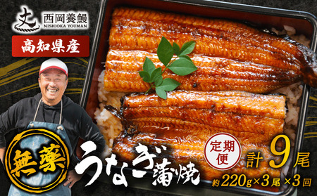 【 うなぎの蒲焼き 】 うなぎの蒲焼 定期便 計9尾 ( 220g × 3尾 × 3回 )