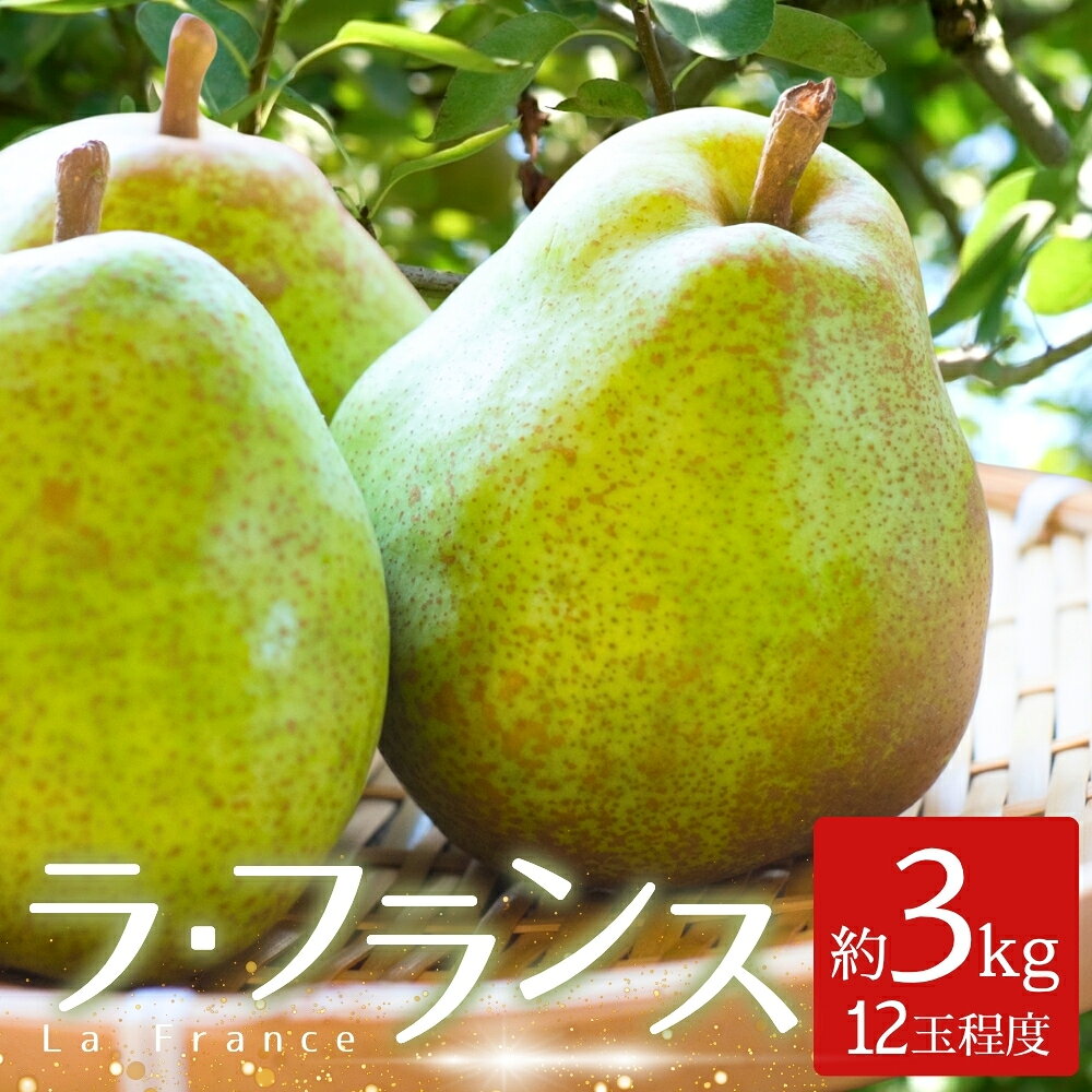 【ふるさと納税】 洋梨 ラ・フランス 3kg （12玉程度）｜なし ナシ 洋ナシ 洋なし 北浦 美里 ラフランス 自家用 贈答