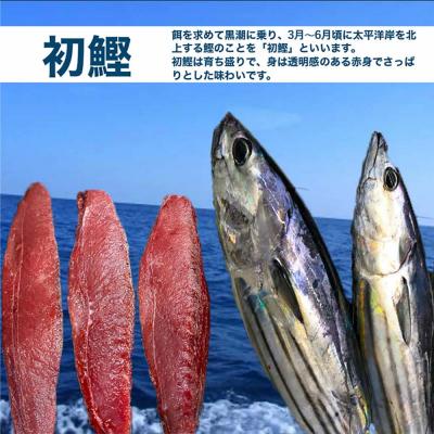 ふるさと納税 田野町 ★数量限定★≪ヤマシン≫ 初鰹のわら焼きタタキ1節 ※新にんにく1玉付き※ |  | 01