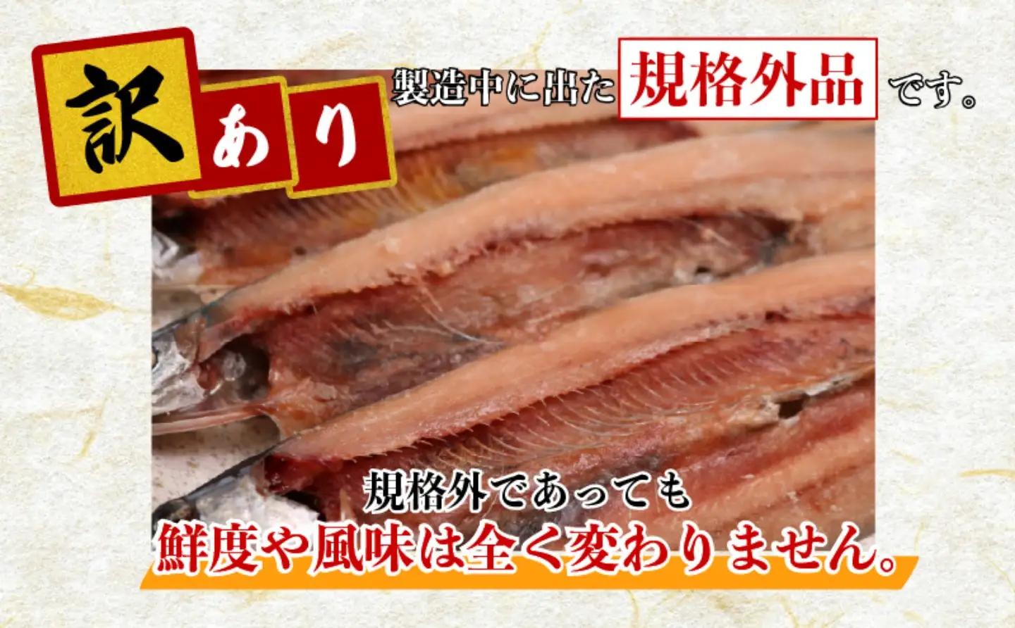 【訳あり】 さんま 40枚 さんま