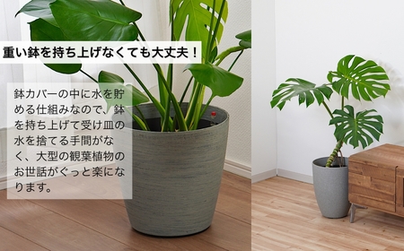 【ブラック】大型観葉植物 ≪1鉢≫ 鉢カバー付き 観葉植物