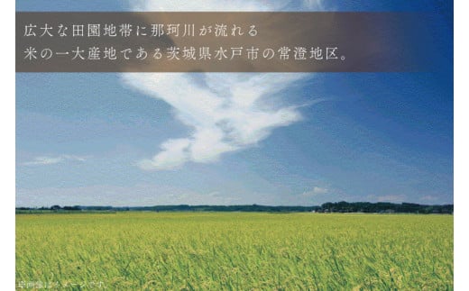 常澄産コシヒカリ100％米粉麵「穂々の空」【グルテンフリー アレルギーフリー 農家がつくる 和食 洋食 中華 水戸市 茨城県】（FC-2）