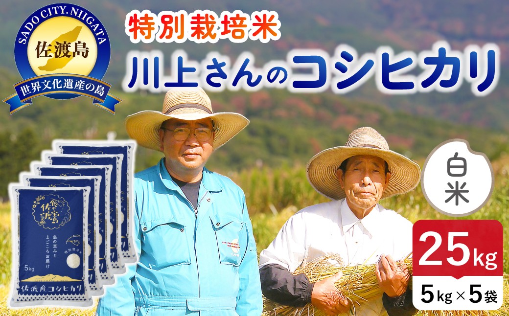 
                  佐渡島産コシヒカリ「川上さんのお米」白米25kg（5kg×5袋）令和7年産 特別栽培米 単一原料米 平清水の水で育てた | 新潟県産コシヒカリ 新潟産コシヒカリ 佐渡産コシヒカリ 新潟県産こしひかり 佐渡産こしひかり お米 米 こしひかり 白米 精米 ブランド米 おこめ コメ 25キロ 大容量 農家直送 にいがた さど 新潟県 佐渡市
                