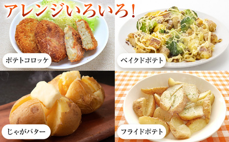 雪室じゃがいも10kg（男爵） 浦幌町農業協同組合 《3月上旬以降出荷》北海道 浦幌町 じゃがいも ジャガイモ 男爵 じゃがバター フライドポテト コロッケ いも 芋 男爵芋 st-p