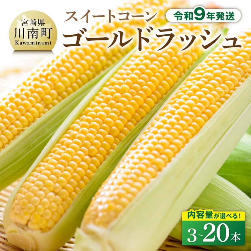 【ふるさと納税】※内容量が選べる※【令和9年産】スイートコーン「ゴールドラッシュ」 - 農家直送 産地直送 季節限定 期間限定 数量限定 旬の味覚 国産 九州産 宮崎県産 川南町産 九州産 新鮮 農家直送 産地直送 スィート—コーン とうもろこし おすそ分け ギフト 送料無料
