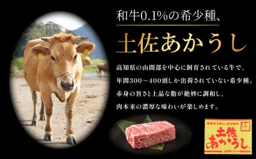 土佐あかうし 牛肉 サーロインステーキ 約400g 牛肉 ステーキ 熟成肉 サーロイン エイジング工法 ブランド牛 熟成牛肉 牛肉 国産 牛肉 サーロインステーキ 真空パック さーろいんすてーき 牛肉