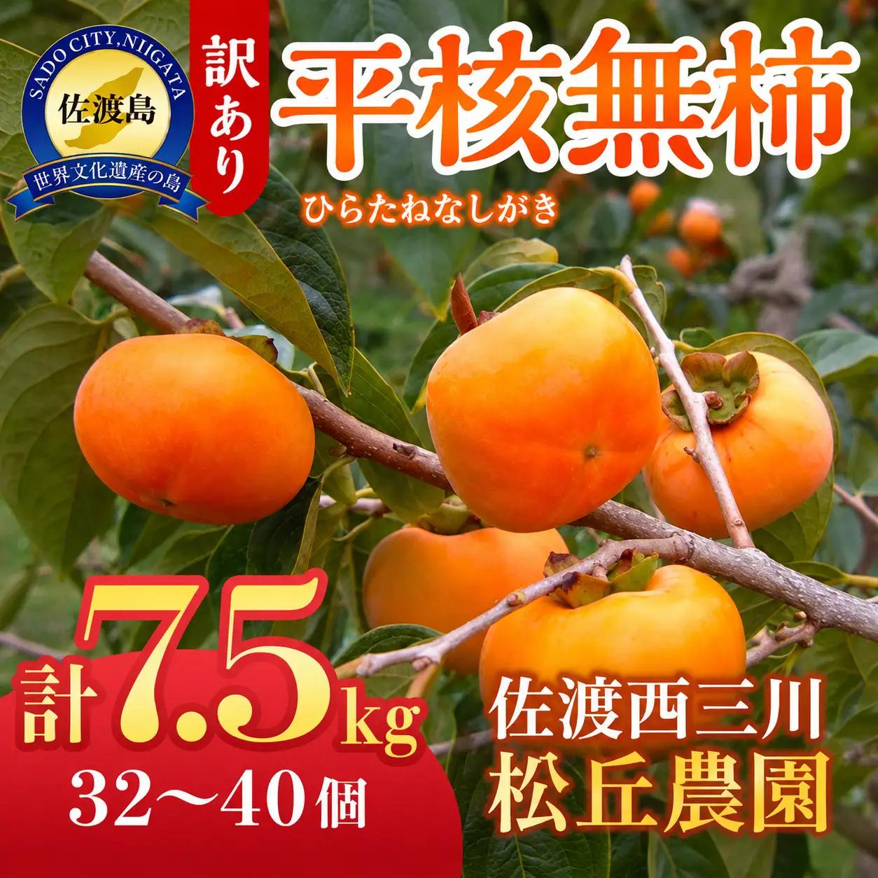 【訳あり】佐渡産 平核無柿（ひらたねなしがき）7.5kg 32～40玉 種なし 松丘農園