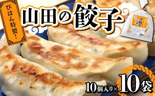 びはん特製！山田の餃子10個入り×10袋 三陸山田 山田町 肉 中華 山田の醤油 惣菜 YD-932