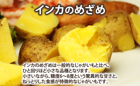 【2026年秋冬発送】じゃがいも 食べ比べセット 男爵3kg＋インカのめざめ2kg【約5kg】