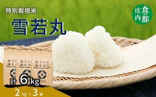 食の都庄内　【令和7年産・精米】井上農場の特別栽培米 雪若丸 6kg（2kg×3袋）