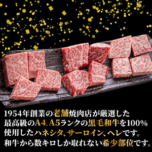 【黒毛和牛の希少部位焼肉セット】ハネシタ焼肉・サーロイン焼肉・ヘレ焼肉（焼肉牛肉 焼肉食べ比べ 焼肉20000円）