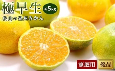 【2026年10月中旬頃から順次発送】【温州みかん】 極早生 優品・家庭用 約5kg | 愛媛 【温州みかん】 【KK0501】