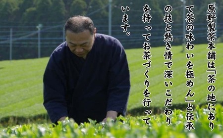 訳あり 業務用 お手軽 八女茶 ティーバッグ 20袋入り 茶 お茶 飲料 茶葉 ティーバック 