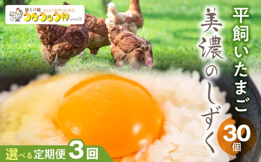 【選べる定期便】新鮮たまご 郡上八幡コケコッコ村の地養卵『美濃のしずく』30個入ギフトセット 卵 たまご 平飼い  卵 たまご 卵 玉子 卵 タマゴ 鶏卵 オムレツ 卵 卵かけご飯 たまご焼き 国産 定期便 定期便3回