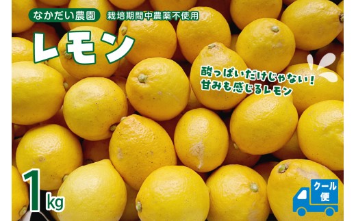 【2026年5月～発送】 栽培期間中農薬不使用 ｢レモン｣ 約1kg 特別栽培 酸味 旨み 国産 レモン 【クール便】 ku033-010-25