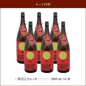 角玉乙ウォッカ1.8L×6本セット【1186280】