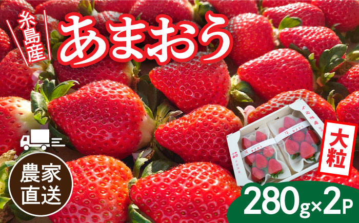 
            【先行予約】【農家直送！】糸島産あまおう 280g×2パック (DXまたはGサイズ)  【2025年12月以降順次発送】 糸島市 / 後藤農園 [AML001] いちご 福岡
          
