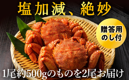 【のし付き】北海道オホーツク海産 浜ゆで毛がに　約500g×2尾【配送不可地域：離島】