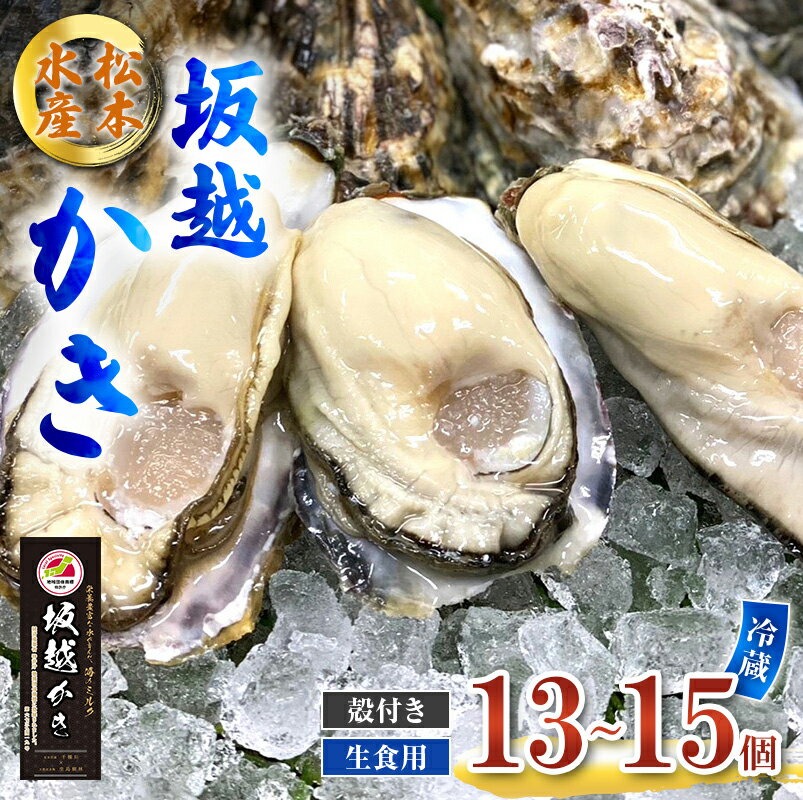 【ふるさと納税】牡蠣 生食用 お試し 坂越かき 殻付き 13～15個 松本水産 [ 生牡蠣 真牡蠣 かき カキ 一人暮し 冬牡蠣 ] 魚貝類 名水百選 天然記念物 生島樹林 栄養 海 ミルク 濃厚 旨味 厳選 新鮮 　お届け：2026年1月中旬～4月まで