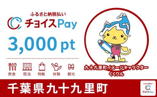 
            九十九里町チョイスPay 3,000pt【会員限定のお礼の品】
          