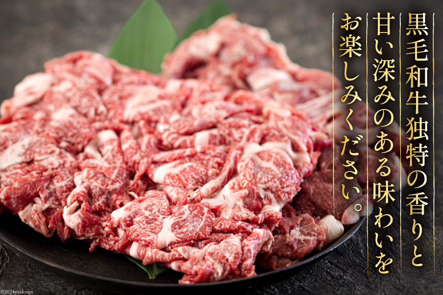 黒毛和牛 切り落とし 500g×2 計1kg [アグリ産業匠泰 宮崎県 美郷町 31be0023] 小分け 牛肉 切落し モモ バラ 牛丼 肉じゃが しぐれ煮 煮込み 炒め 焼肉 普段使い 調理 おか