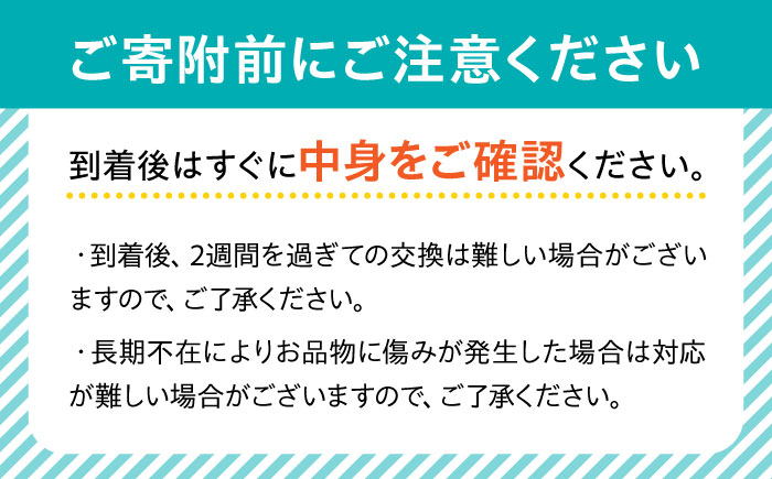 【2025年1月中旬〜発送】【数量限定】いちご「ゆめのか」 約260g × 4P / イチゴ 苺 フルーツ 果物 産地直送 朝摘み / 南島原市 / O' Berry! [SGA001]