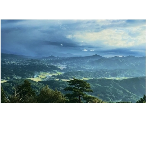 定期便3回 よもぎ & 大和当帰 入浴剤 50包 /ウェルネスフーズ UDA ふるさと納税 無添加 有機栽培 おすすめ リラックス ストレス解消 ボディケア 肌荒れ改善 疲労回復 送料無料 奈良 宇陀