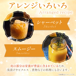 【先行予約／数量限定50】夕日ヶ浦すいか（金色羅皇） 1玉（2026年7月中旬～発送）果物 くだもの スイカ 西瓜  ふるさと納税 スイカ ふるさと納税 先行予約 フルーツ ふるーつ 甘い 京都 丹後