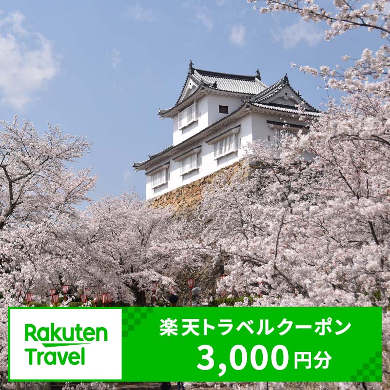 【ふるさと納税】岡山県津山市の対象施設で使える楽天トラベルクーポン　寄付額10,000円（クーポン額3,000円）_ふるさと納税 トラベル 岡山旅行 観光 クーポン 旅行券 岡山県 津山市【TY0-0438】