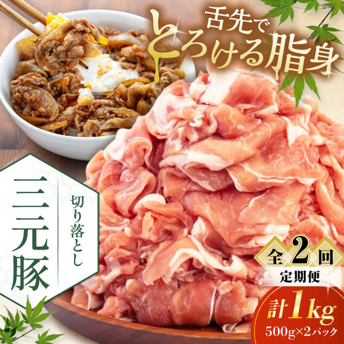 【ふるさと納税】 定期 三元豚 切り落とし 1kg 500g×2パック ▼ 全2回 定期便 《喜茂別町》【平田牧場】 肉 豚肉 生姜焼き 小分け 冷凍 冷凍配送 定期便 定期 北海道 平田牧場 おすすめ [AJAP030] 22000 22000円