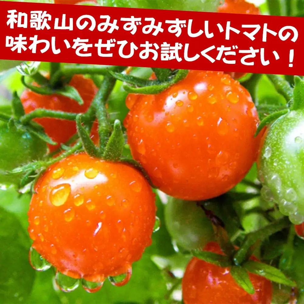 トマトジュースセット nakys001A【nakys001A】