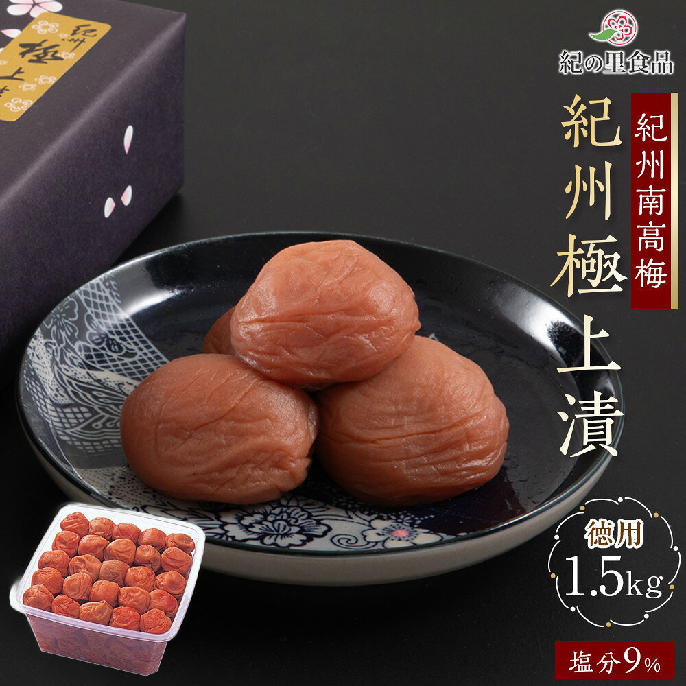 【ふるさと納税】紀州南高梅 徳用 紀州極上漬 1.5kg×1箱 ［Kn6］ | 梅干 食品 加工食品 人気 おすすめ 送料無料